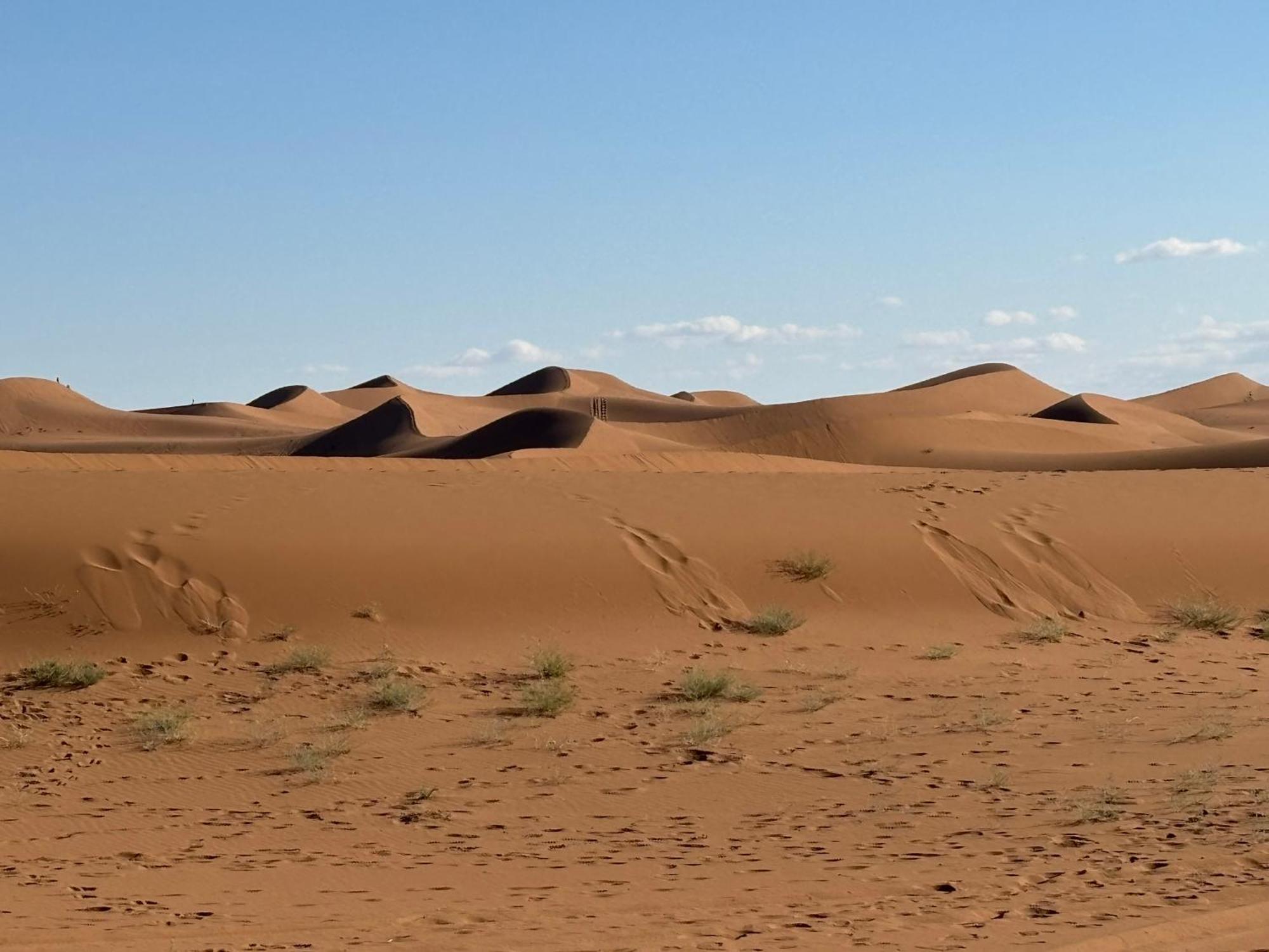 Bivouac La Dune Blanche M'Hamid Exterior foto